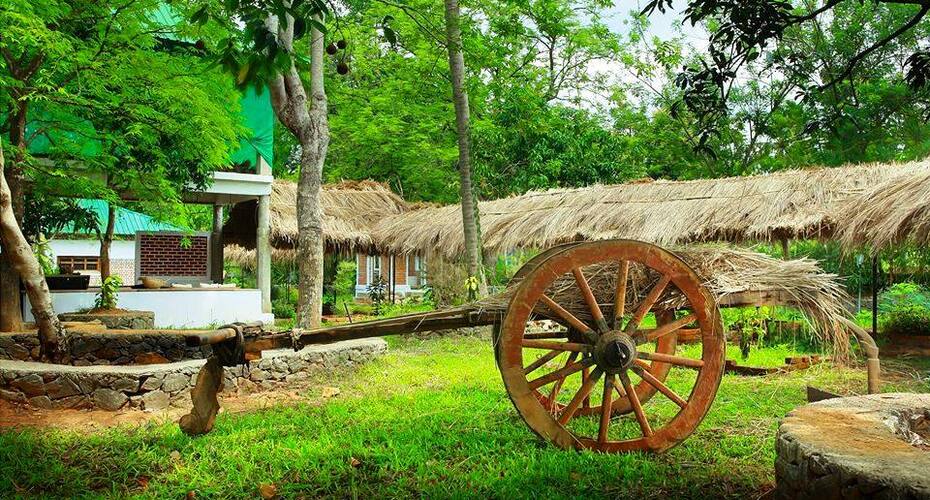 Green Gram Wellness Village, Kochi 2
